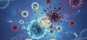 Inmunoterapia contra el cáncer